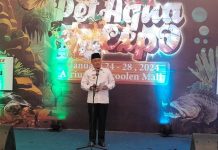 Kontes dan Vaksin Steril Kucing di Bencoolen Pet Aqua Expo 2024