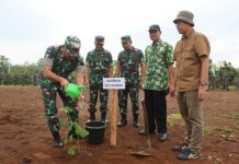 Korem 041/Gamas Peringati HUT Ke-78 Dengan Tanam Bibit Pohon Trambesi