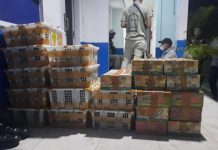 Balai Konservasi Sumber Daya Alam Cegah Pengiriman Satwa Liar Ilegal