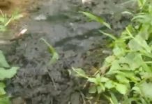 Warga Air Sebakul Diresahkan Aroma Limbah Rumah Tangga