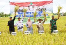 Pemkot Bengkulu Optimis Capai Target Tanam Padi 1.160 Hektar di Tahun 2025