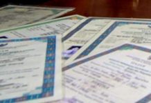 Perubahan Ijazah Jadi Digital, Dikbud Bengkulu Selatan Imbau Perbaiki Data Siswa