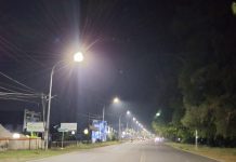 Wujudkan Janji Kota Terang, Walikota Bengkulu Hidupkan Ratusan Lampu Jalan di Kawasan Pantai Panjang