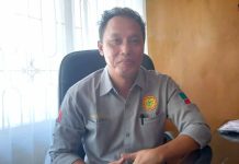 Dinas Pertanian Bengkulu Selatan Siapkan Program Replanting Kelapa Sawit
