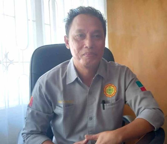 Dinas Pertanian Bengkulu Selatan Siapkan Program Replanting Kelapa Sawit