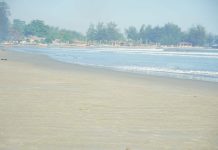 Wali Kota Bengkulu Canangkan Penanaman 10 Ribu Pohon Kelapa di Kawasan Pantai Panjang