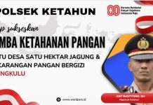 Lomba Ketahanan Pangan, Polsek Ketahun Ajak 21 Desa Ikut Tanam Jagung