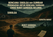 Bencana Alam Sibolga dan Sumbar: Air Bah, Pembalakan Liar, Korban Jiwa, hingga Dugaan Penjarahan Minimarket!