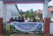 DPD LIN Bengkulu Salurkan Pupuk dan Bibit Jagung ke Desa Pagar Dewa dan Tango Raso