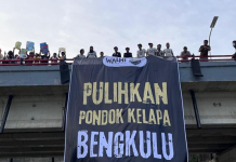 WALHI Ajak Masyarakat dan Pemerintah Selamatkan Pondok Kelapa Bengkulu dari Bahaya