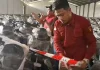 Komisi IX DPR Dukung Hibah Motor Listrik BGN untuk Guru Honorer