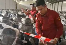 Komisi IX DPR Dukung Hibah Motor Listrik BGN untuk Guru Honorer