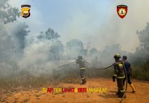 Respons Cepat, Personel Dit Samapta Polda Bengkulu Padamkan Kebakaran Lahan di Bentiring
