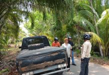 Polda Bengkulu Tindak Tambang Pasir Ilegal di Teluk Sepang, 11 Tersangka Ditahan