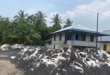 Cegah Warga Tersandung Hukum, ESDM Bengkulu Imbau Pengumpulan Batu Bara Dihentikan