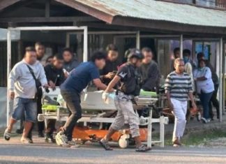Tiga Pegawai Dinas Pertanian Jayawijaya Tewas Ditembak KKB, Mentan Minta Pelaku Diusut Tuntas