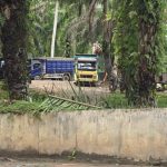 LP-KPK Temukan Dugaan Pasir Tambang Ilegal pada Proyek Irigasi Rp32,34 Miliar di Mukomuko