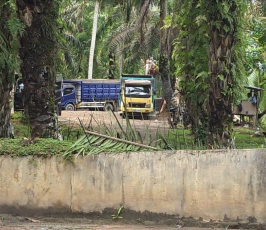LP-KPK Temukan Dugaan Pasir Tambang Ilegal pada Proyek Irigasi Rp32,34 Miliar di Mukomuko